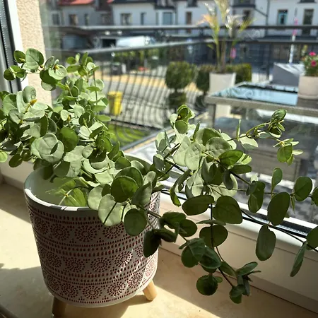Amelka 게스트하우스 3*